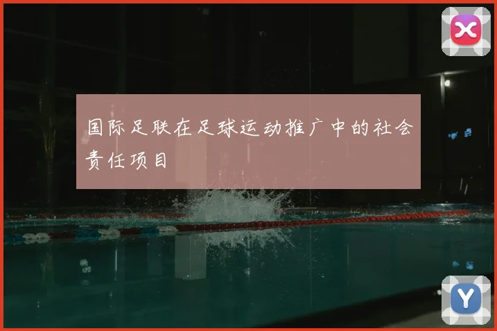 国际足联在足球运动推广中的社会责任项目