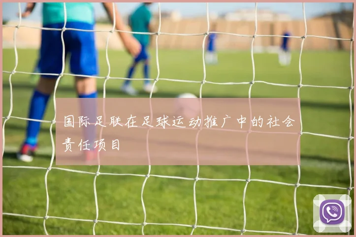 国际足联在足球运动推广中的社会责任项目