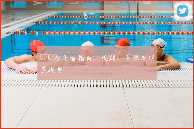 UFC 初学者指南：规则、量级与明星选手