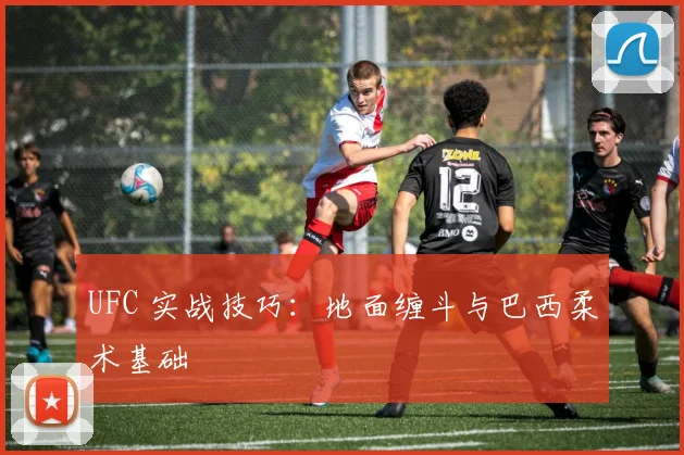 UFC 实战技巧：地面缠斗与巴西柔术基础