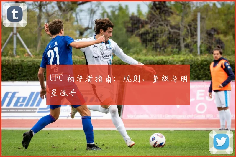 UFC 初学者指南：规则、量级与明星选手